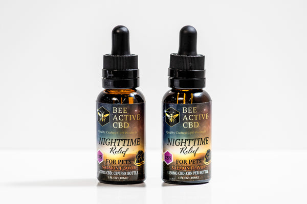 Bee Active Nighttime Relief Pet Tincture - CBD + CBN Salmon Flavor