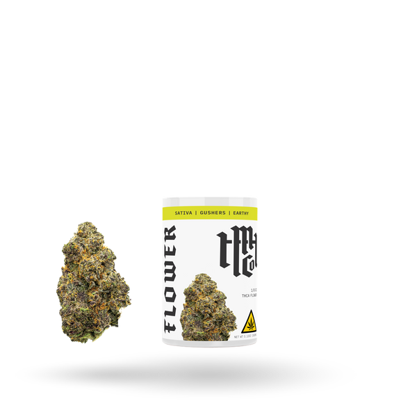Modern Herb Co THCa Flower Gushers Sativa 1/8oz, fresh cannabis flower with vibrant green buds and orange hairs.