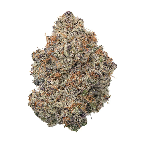 Indica Lemon Cherry Gelato THCa flower by thisthat, showing vibrant buds with green and purple hues and orange pistils.