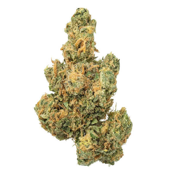 Sativa Jack Herer THCa flower by thisthat, showing vibrant green buds with orange hairs and trichomes on a white background.
